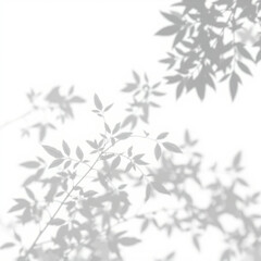 Naklejka premium shadow overlay effect. Gray shadow of leaves isolated on white background. Plant foliage leaf shadow light effect. Mockup Blurred tree branch shadow. Ideal for summer spring design elements PNG 