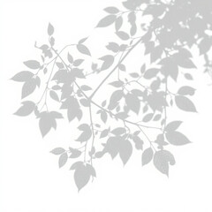 shadow overlay effect. Gray shadow of leaves isolated on white background. Plant foliage leaf shadow light effect. Mockup Blurred tree branch shadow. Ideal for summer spring design elements PNG 