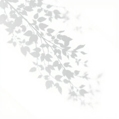 Fototapeta premium shadow overlay effect. Gray shadow of leaves isolated on white background. Plant foliage leaf shadow light effect. Mockup Blurred tree branch shadow. Ideal for summer spring design elements PNG 