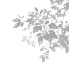 shadow overlay effect. Gray shadow of leaves isolated on white background. Plant foliage leaf shadow light effect. Mockup Blurred tree branch shadow. Ideal for summer spring design elements PNG 