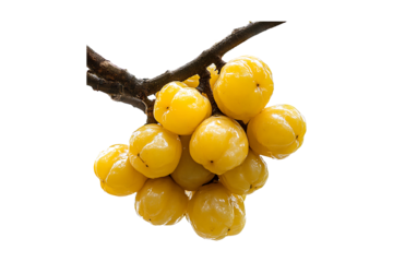 Dhondas isolated on transparent background
