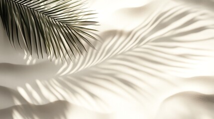 Obraz premium Palm Shadow on White Sand with Abstract Light Patterns, Minimalist Beach Scene with Space for Text and Branding