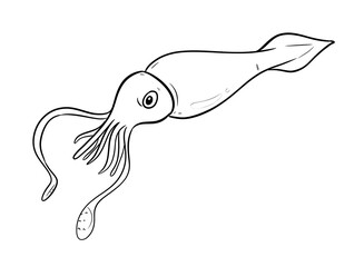 squid digital drawing isolated black and white