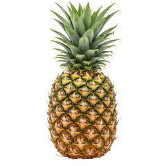 Fototapeta premium Isolated pineapple with green spiky leaves on a plain black background on transparent background