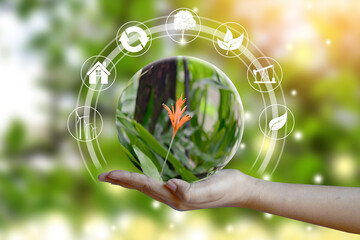 Human Hand holding Tree on green bokeh background. Concept of World Environment Day, eco earth day, Preserve Nature, energy in nature. 