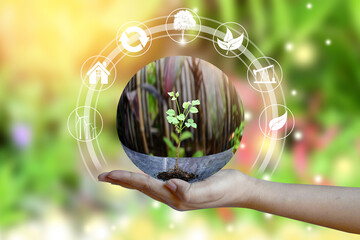 Human Hand holding Tree on green bokeh background. Concept of World Environment Day, eco earth day, Preserve Nature, energy in nature. 