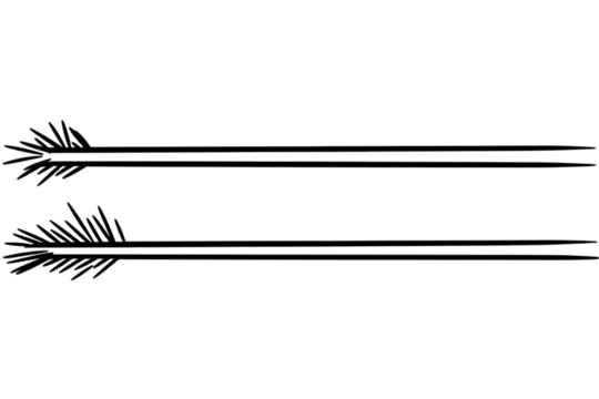 Abstract Digital Illustration with White Horizontal Lines on Black Background