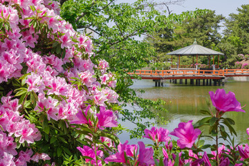 九華公園のつつじ（三重県桑名市）