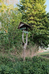 walking trail through rapeseed yellow flower fields and forest trees in springtime under bright blue sky. High quality photo
