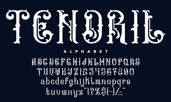 Victorian font, antique medieval typeface, vintage script type, elegant alphabet with gothic flourishes vector typography set. Vintage medieval victorian classic serif font english alphabet with curls