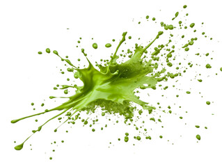 Naklejka premium Abstract Green Paint Splash On Transparent Background Illustration