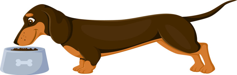 Cartoon dachshund dog and puppy character eating from a food bowl with a bone symbol. Vector cute canine animal pet with its long body and short legs enjoys a meal, conveys care and pet companionship