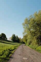 rural countryside road with houses green fields and trees under blue sky in peaceful village landscape at golden hour. High quality photo