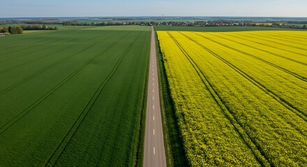 Aerial view captures a straight road dissecting vibrant green and yellow fields