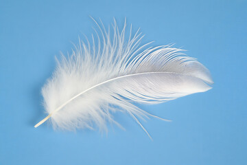 Elegant White Feather On Light Blue Background Minimalist Style Symbol Of Lightness And Softness Smooth Texture Perfect For Creative Projects Representing Purity And Innocence