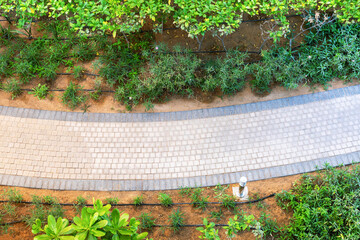 Garden path, top view. Footpath from aerial.