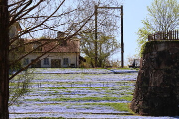 Fototapete bei efototapeten.de bestellen   