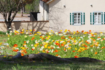 Fototapete bei efototapeten.de bestellen   