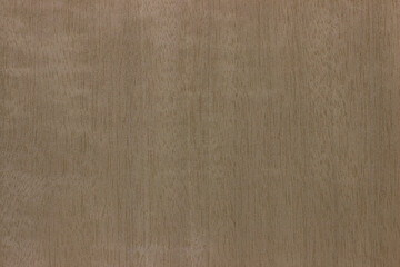 natural wood, with a beautiful pattern. natural wood background. wooden board with. natural seamless texture. light, brown, gold, view from above, horizontal