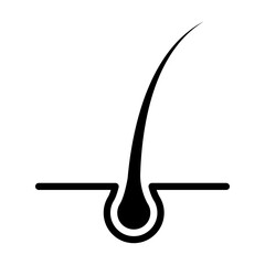 hair icon vector for graphic design, logo, web site, social media, mobile app, ui illustration