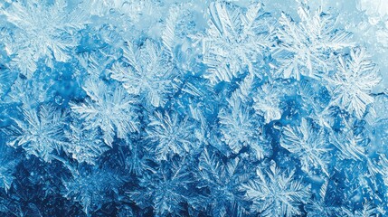 Fototapeta premium Abstract background of frozen water droplets on glass.