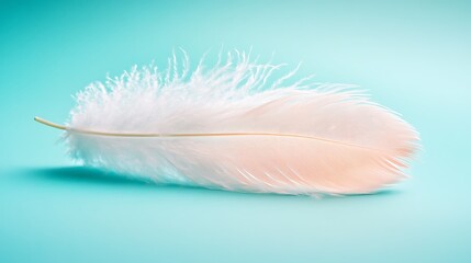 Obraz premium A Delicate Feather Resting Gracefully on a Serene Pastel Turquoise Background