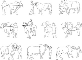 A line style illustration set showing people with qurban cows in Eid al Adha scenes, for Islamic holiday visuals, educational materials, and cultural event designs.