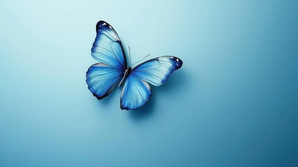 Serene Blue Morpho Butterfly on Soft Blue Background