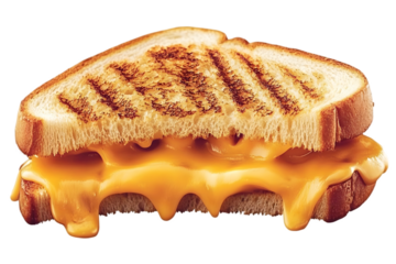 Grilled Cheese Sandwich Illustration on Transparent Background Isolated Closeup