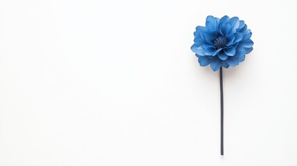 Single blue flower with a long stem placed on a plain white background, creating a minimalist and elegant composition.