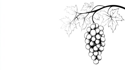 Elegant black and white drawing of a bunch of grapes and leaves.