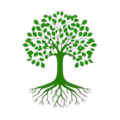 Obraz premium Green Tree Illustration on a Transparent Background Isolated Graphic Design