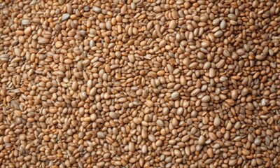 Fototapeta premium Close-up shot of a diverse mix of whole grains , natural, rustic