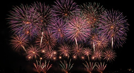 Colorful Firework Display at Night