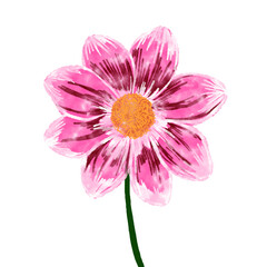 Artistic Watercolor Illustration of Pink Flowers with Green Stems in Vibrant Style