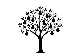 Obraz premium Pear tree silhouette. This image shows a pear tree silhouette with pears hanging from its branches, representing orchard scenery and botanical growth. Vector clipart illustration design.