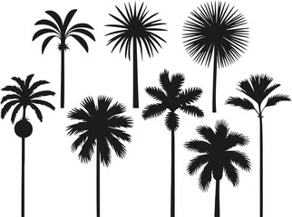 Fototapeta premium A tropical set of black palm tree silhouettes, a vector illustration of nature's summer design