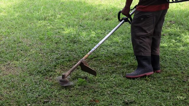 Gardener Using Lawnmower to Trim Fresh Grass