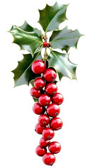 Isolated Holly Berries And Green Leaves On Transparent Background Photo