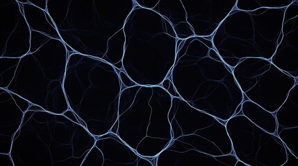 Fototapeta premium Thin, web-like branching lines form an abstract network pattern against a dark background.