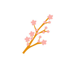 cherry blossom vector icon