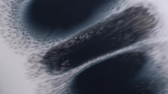 Ink dripping. Wet blob. Shapeless black blue gray spot row paint spilling on purple paper. Messy spatter texture defocused flow abstract background.