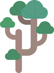 Traditions Pine trees