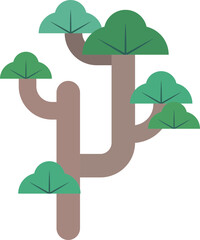 Traditions Pine trees