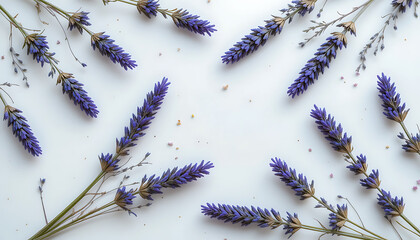 Lavender Flower Arrangement on White Background