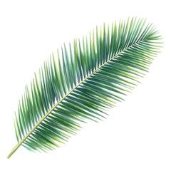Obraz premium Realistic Watercolor Illustration of a Tropical Palm Leaf on Transparent Background