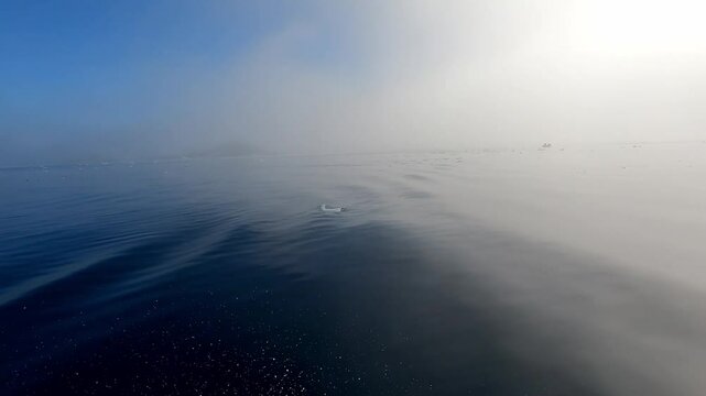 Motoring in quick boat in Mickelson Harbour to Trinity Island Antarctic Peninsula in the distance in foggy weather and calm seas through slush and brash ice