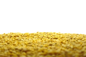 A lot of soybeans on a white background. The soybeans are tightly packed to cover the lower half of the image, giving it an even texture. Each soybean is small.