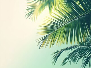 Tree Palm. Low Angle View of Tall Palm Tree Against Green Tropical Sky