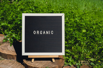 ORGANIC message on background of fresh eco-friendly bio grown green herb parsley in garden. Countryside food production concept. Locally produce harvesting. Sustainability and responsibility